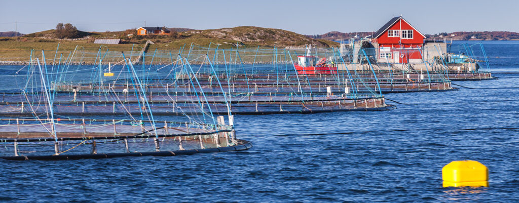 Norwegian fish farm for salmon growing in natural environment.