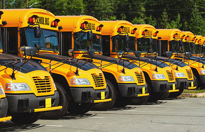 Image of yellow school buses