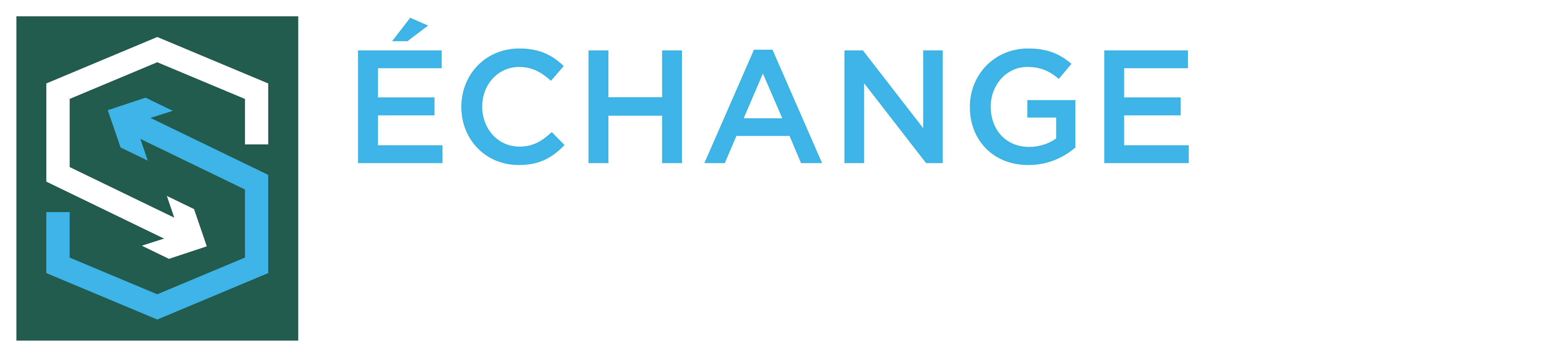 http://Strategic-Exchange_RGB_FR_Rev%20blu_2024