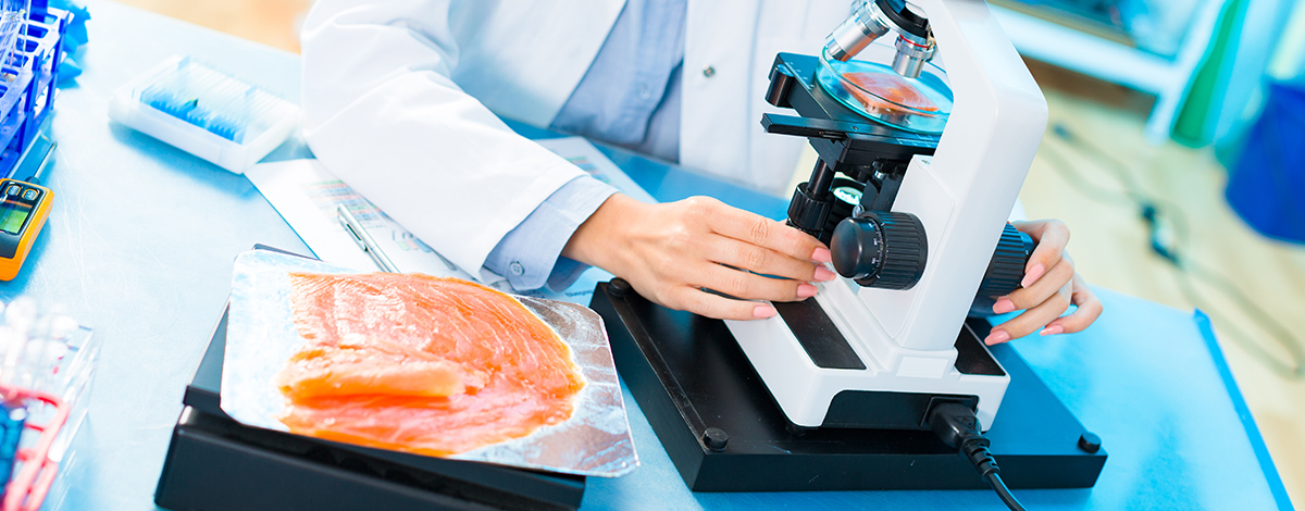 Fish being examined under a microscope for scientific research and food quality control.
